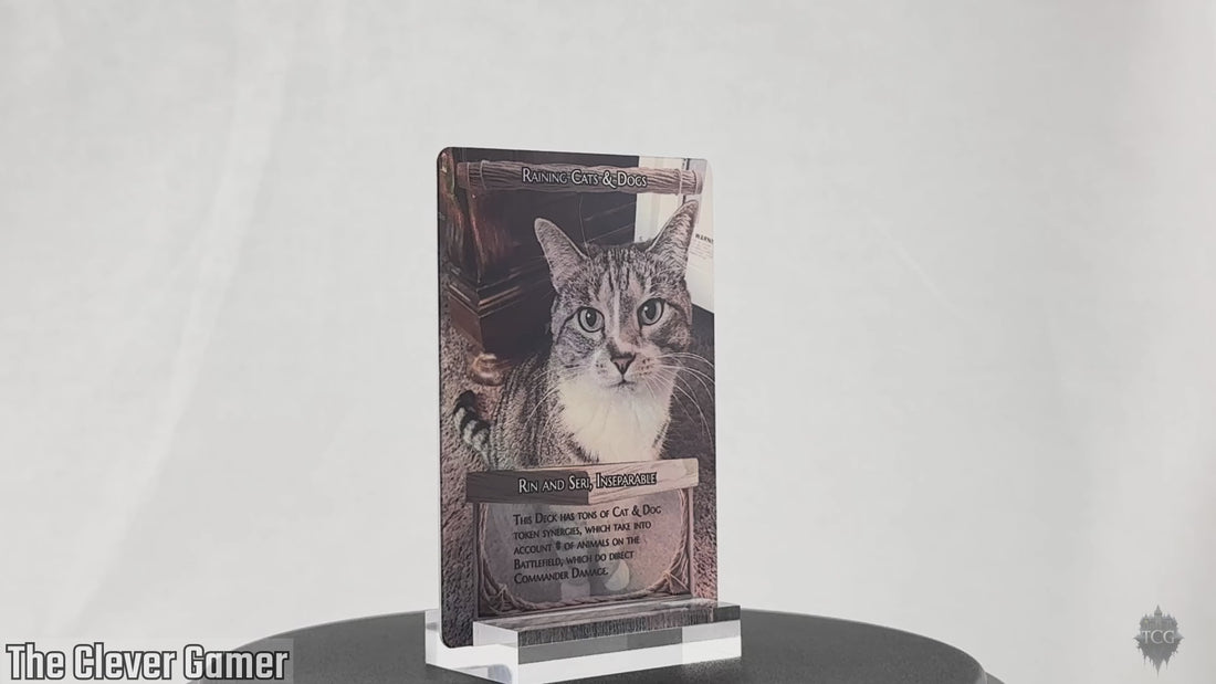 Foil ECKOcard Custom - Cat Picture Example 360  Video